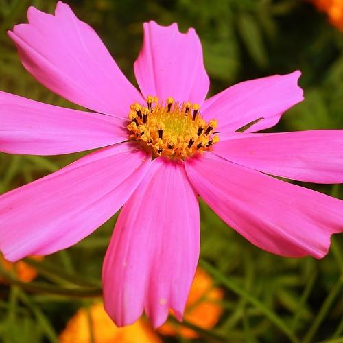 Photo #4376472