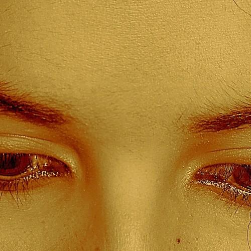 Photo #4376536