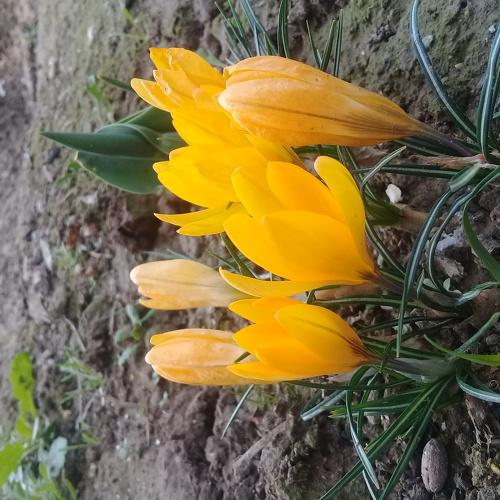 Photo #4377007