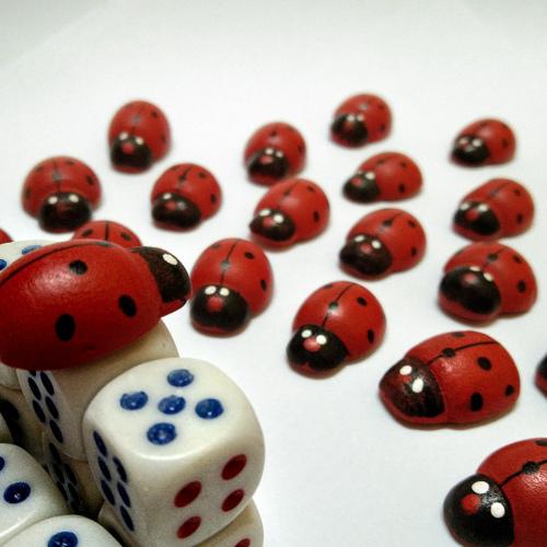 Ladybug Preacher