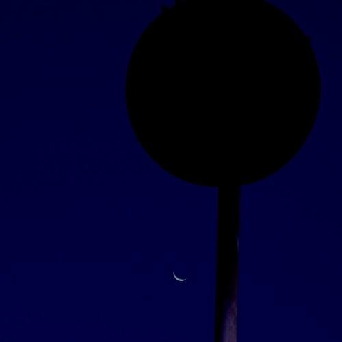 Photo #4377155