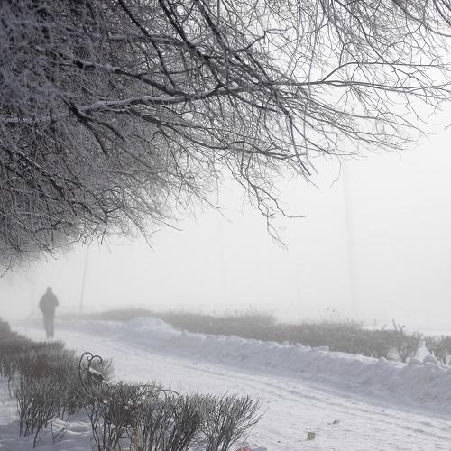Photo #4377372