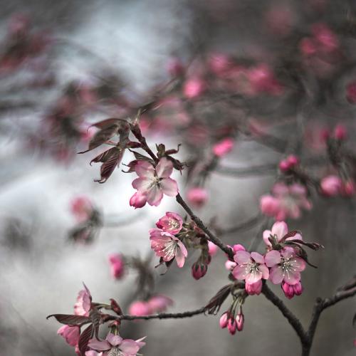 Photo #4377378