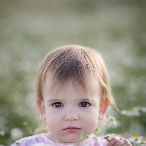Photo #4377657