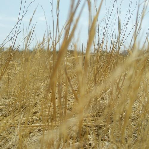 Photo #4377658