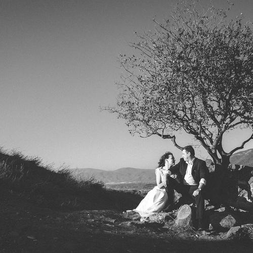 Photo #4378180