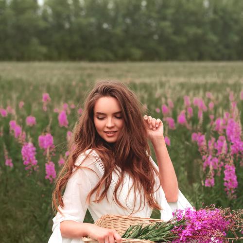 Photo #4378499