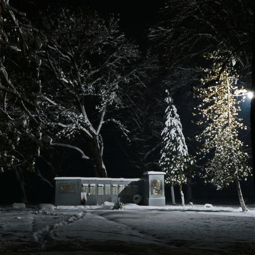 Photo #4378555