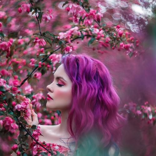 Photo #4378585