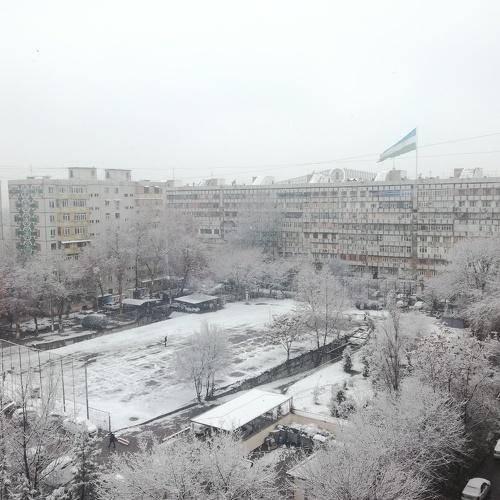 Photo #4378612