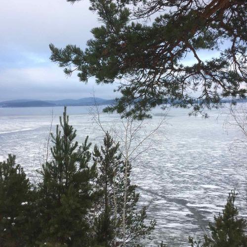 Photo #4378797