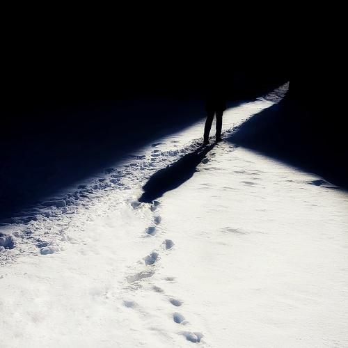 Photo #4379240