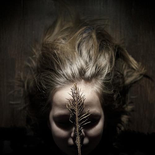 Photo #4379256