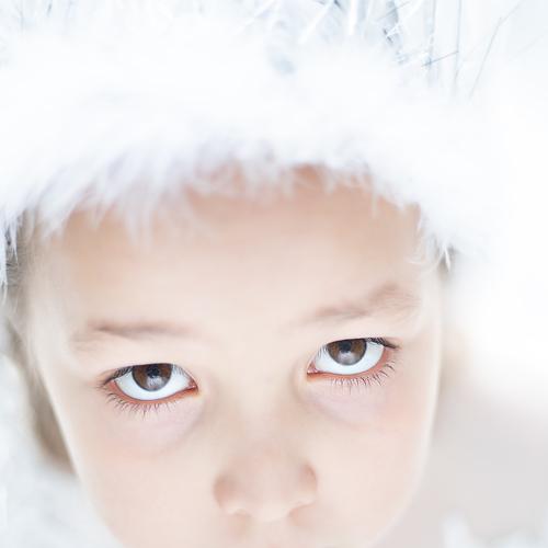 Photo #4379356