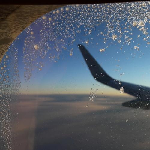 Photo #4379386
