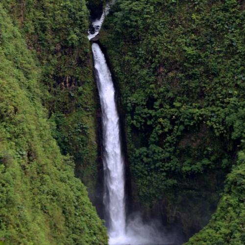 Photo #4379458