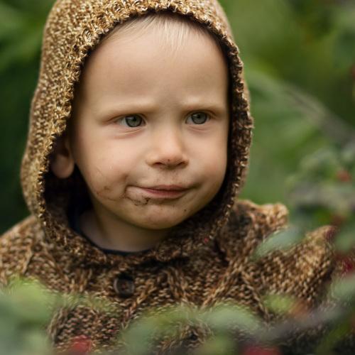 Photo #4379469