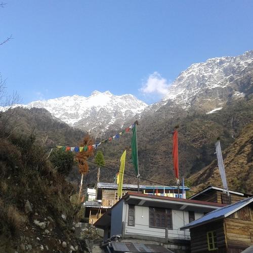 Photo #4379477