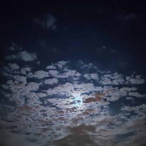 Photo #4379913
