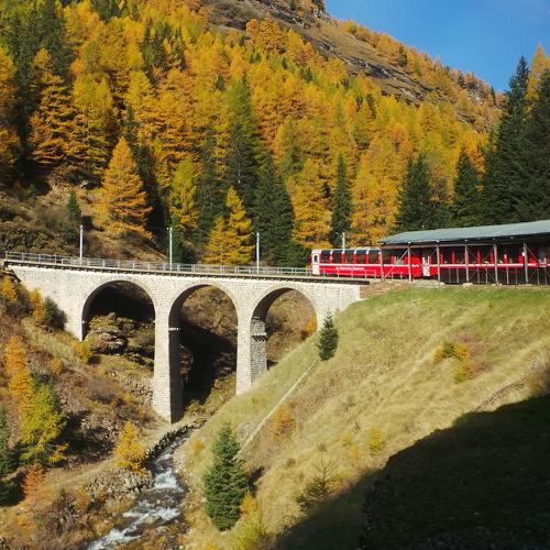 Photo #4379944