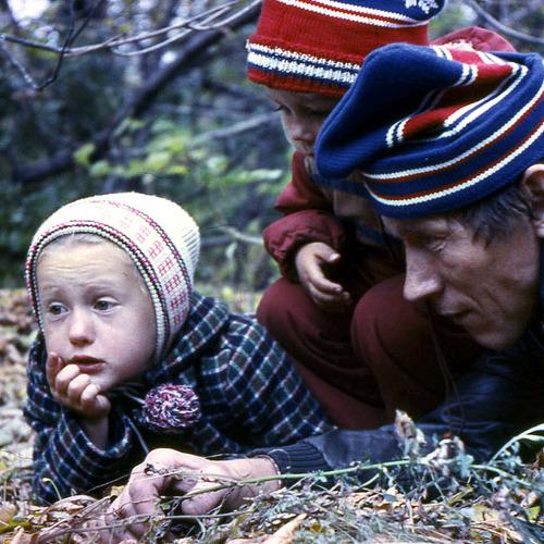 Photo #4380010