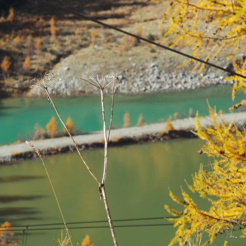 Photo #4380045