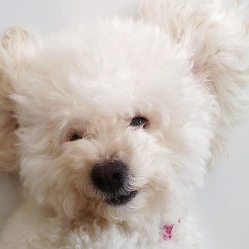 Photo #4380509