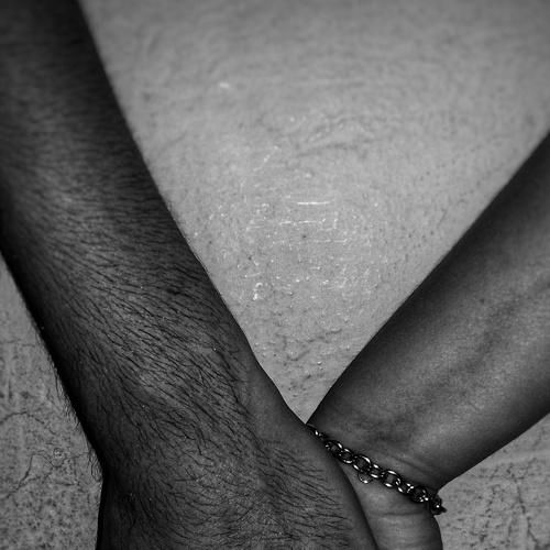 Photo #4381065