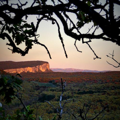 Photo #4381113