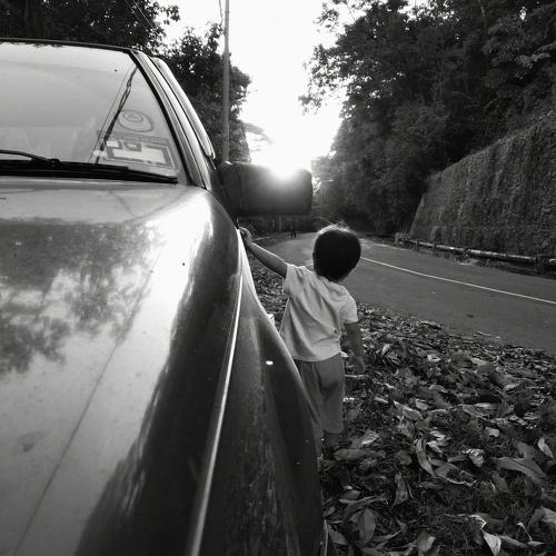 Photo #4381474
