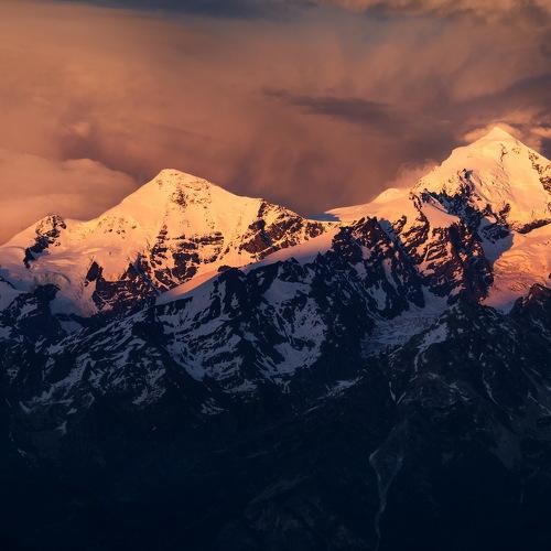 Photo #4381679