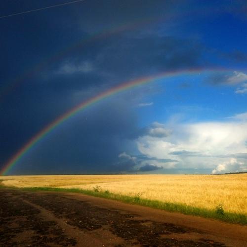 Photo #4381719