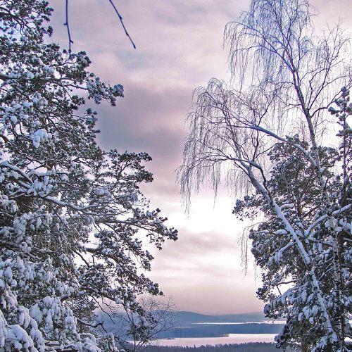 Photo #4381803