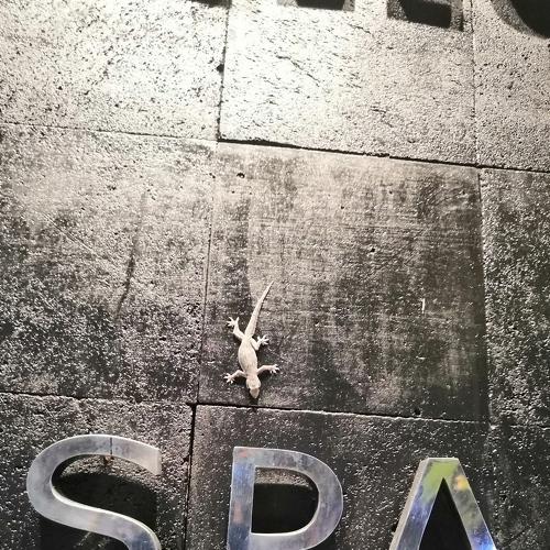 Photo #4381842
