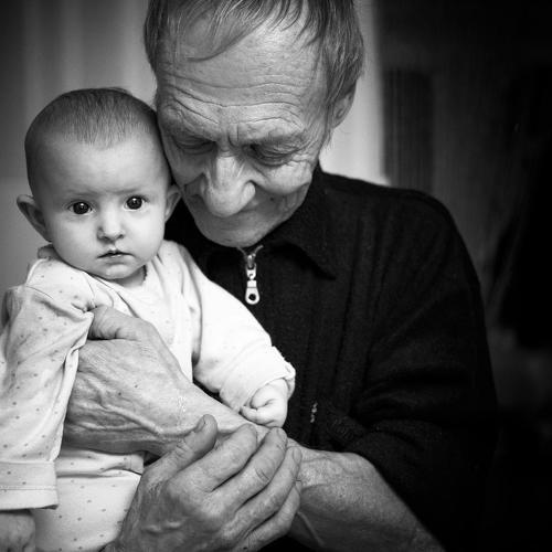 Photo #4381854