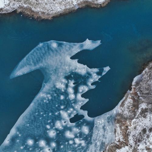 Photo #4381898