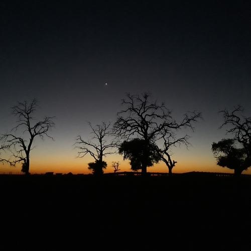 Mmadikola Sunrise.