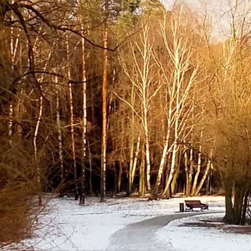 Photo #4381943
