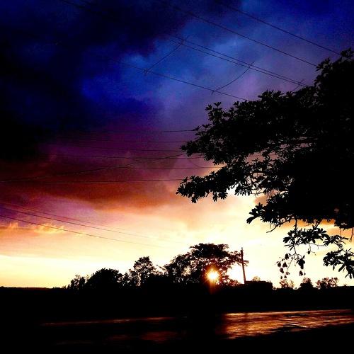Photo #4382149