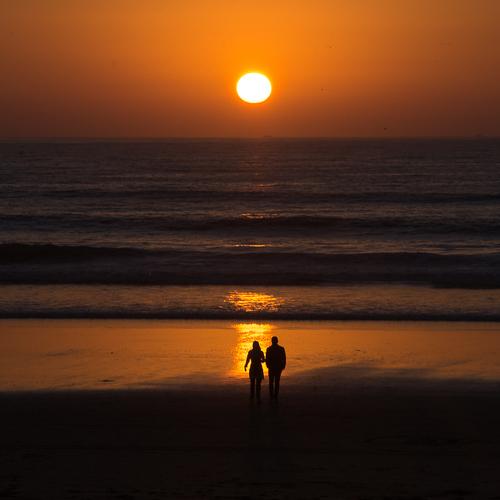 Photo #4382266