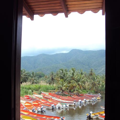 Photo #4382330