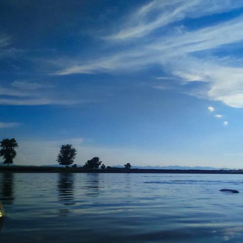 Photo #4382415