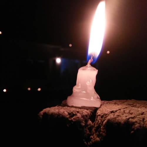 Photo #4382495