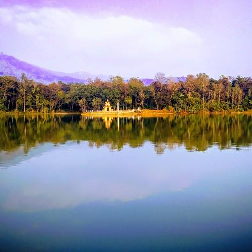 Photo #4382527
