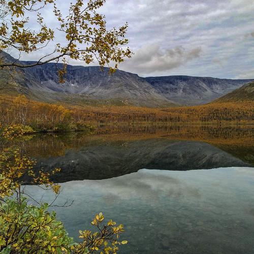 Photo #4382541