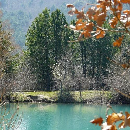 Photo #4382593
