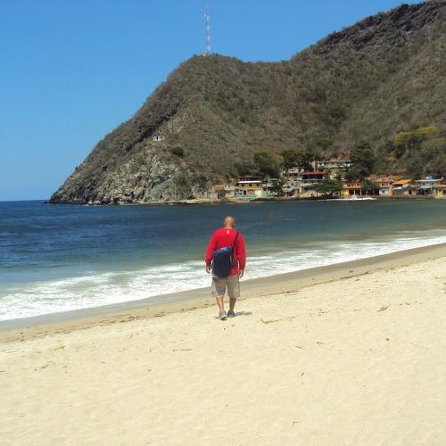 Photo #4382619