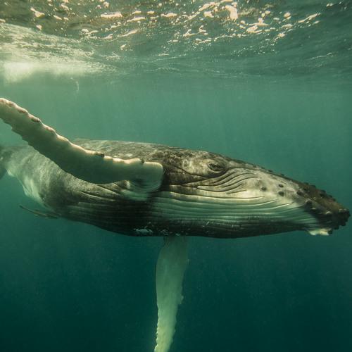 Photo #4382811