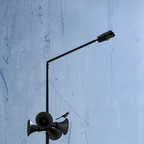 Photo #4383156