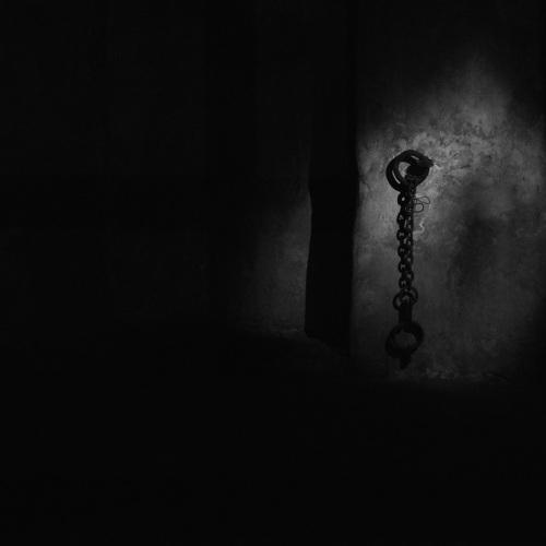 Photo #4383376